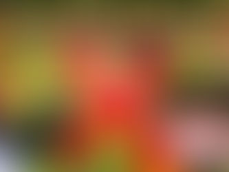 Youtuber Mengundang Kecaman Selepas Menawarkan $1000 Untuk Batalkan Puasa