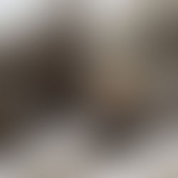 Jangan Gantung Burung Diluar, Burung Enggang Ini Makan Mata Puteh!