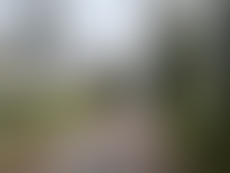 Tempête Ciaran.... dégâts limités