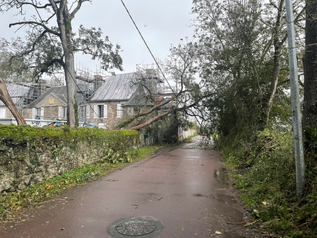 Tempête Ciaran.... dégâts limités