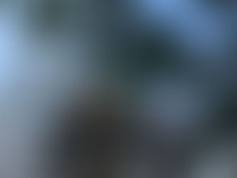 Réfection des souches des 4 cheminées