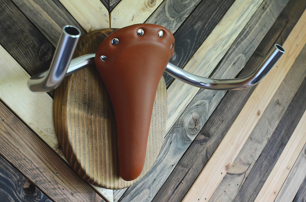 Thumbnail: Bike Rack Bicycle Taxidermy "The Longhorn"