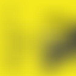 Why See Desi in Design