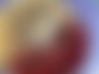 Chia Bowl crémeux coco & fruits rouges 