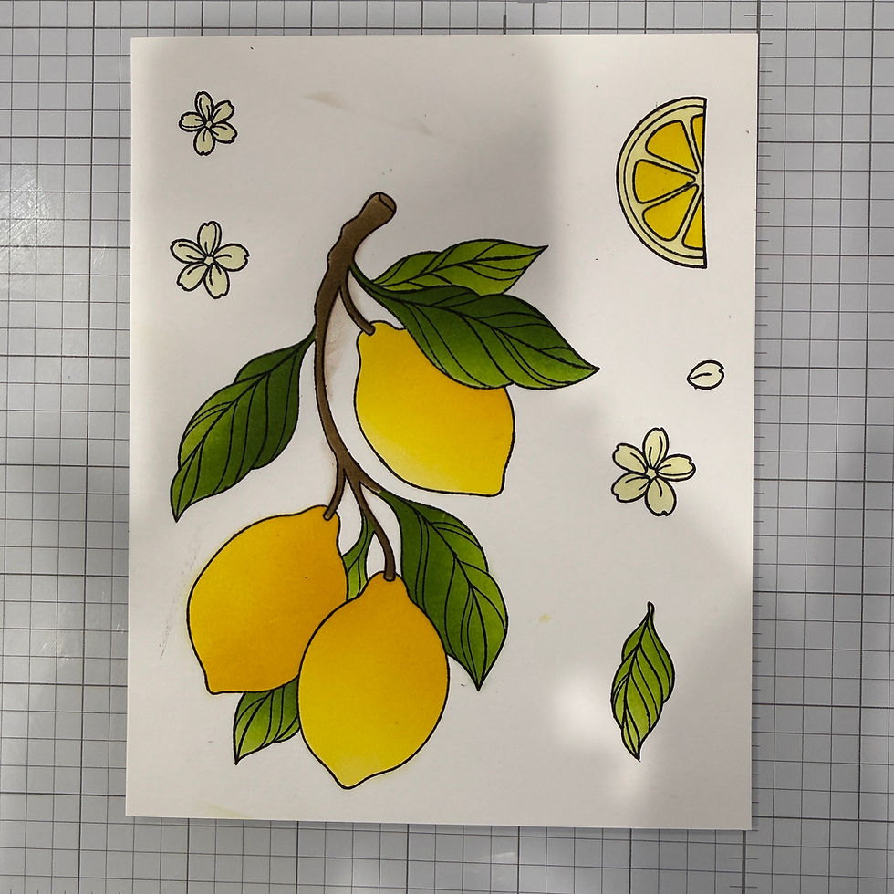 Hand-drawn lemons with green leaves and blossoms on white paper over a gray grid background, bright and cheerful