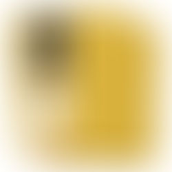 dark yellow cardstock