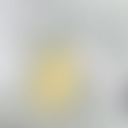 bundled bunny with yellow oval background
