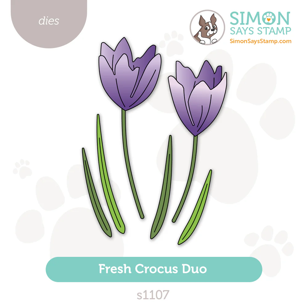 Crocus dies