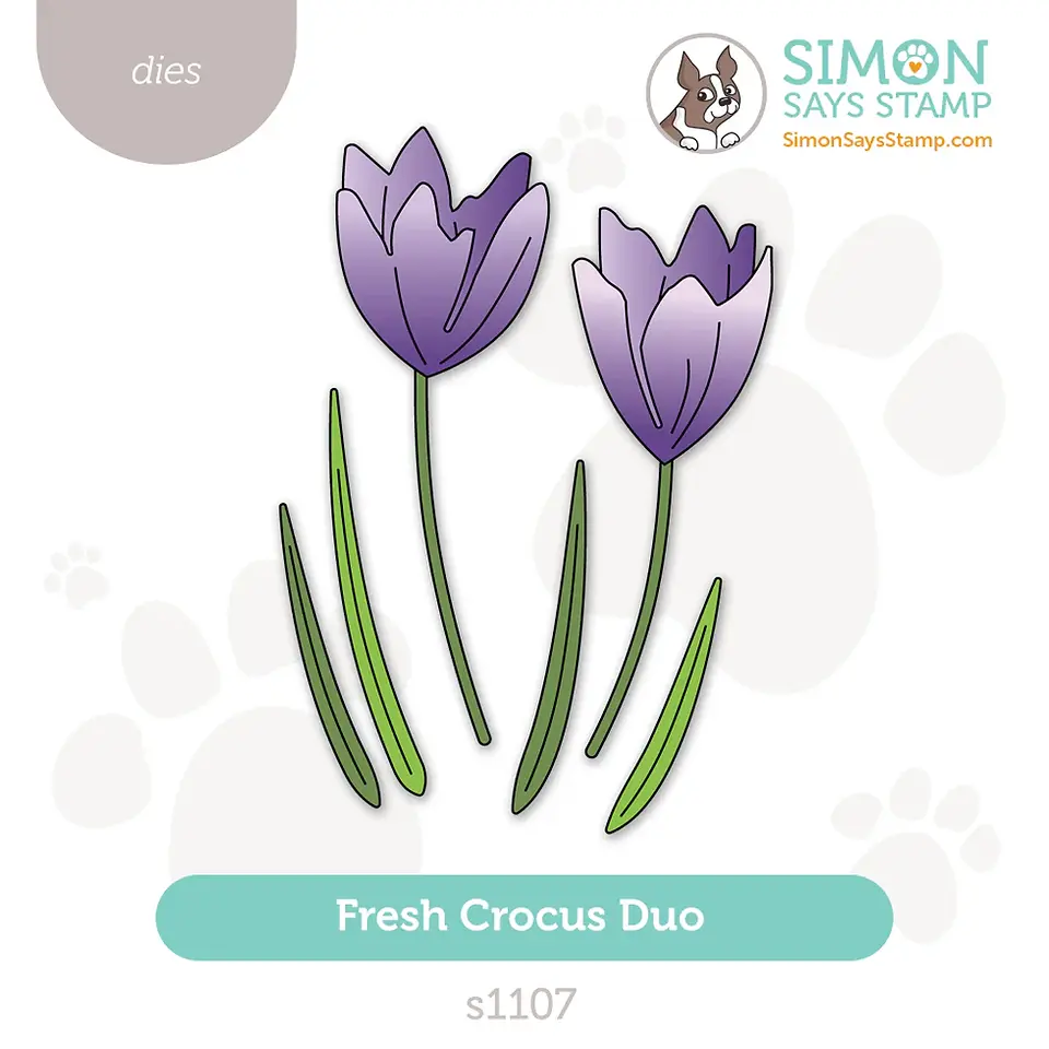 Crocus dies