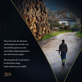 Product Triva Working filesSteve 02.jpg