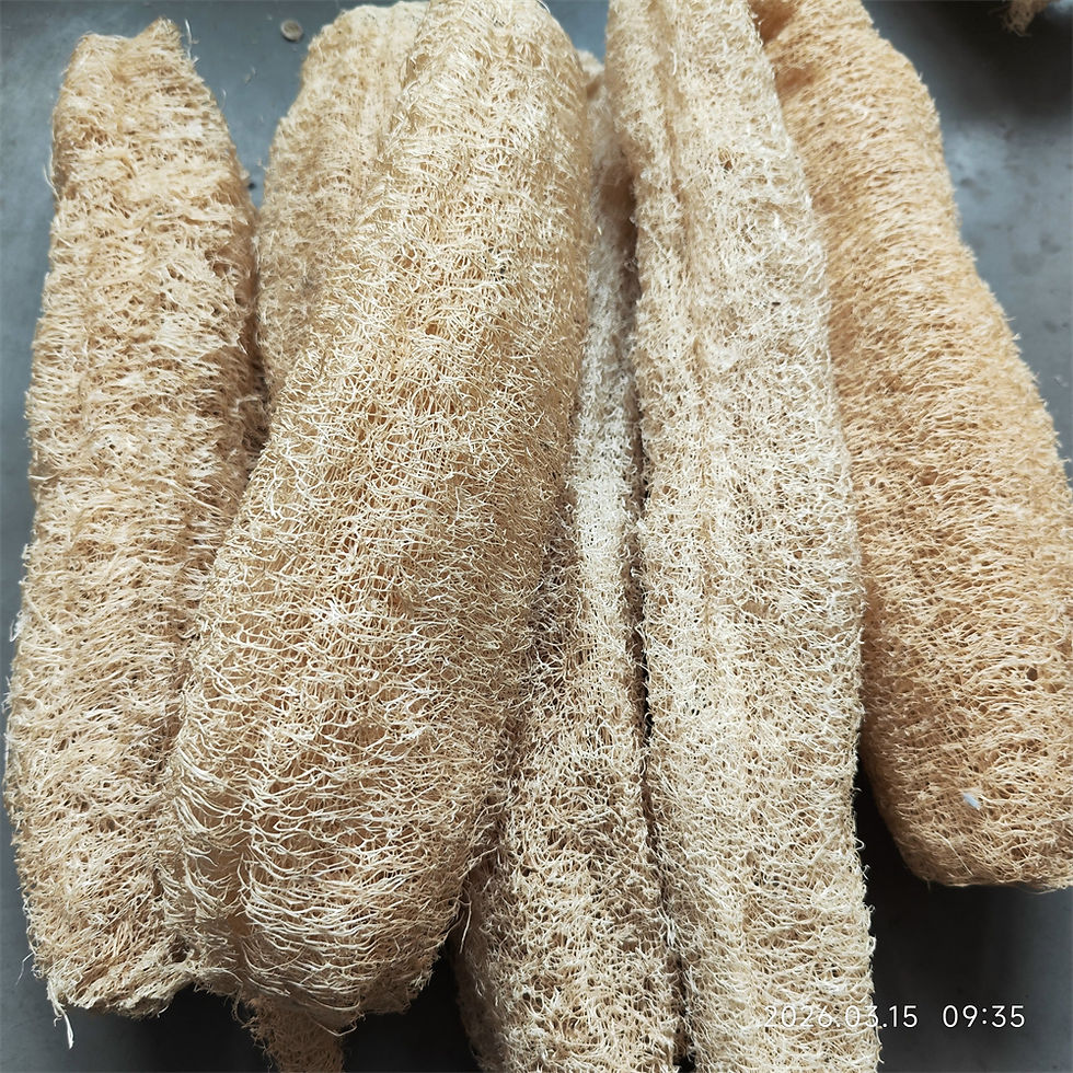 Thumbnail: LooFree™ Natural Bath Loofah