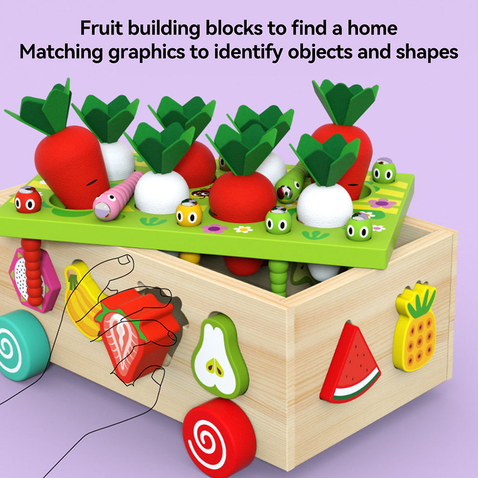 Thumbnail: HeritagePlay™ Montessori Wooden Collection