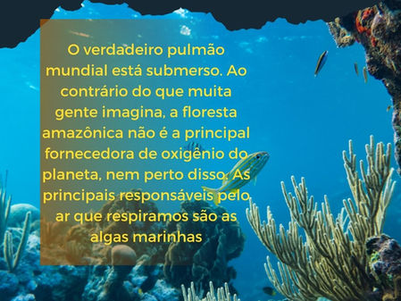 Pulmão
