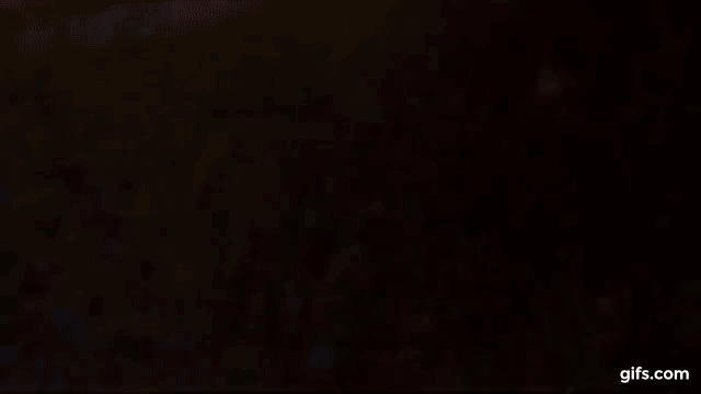 CHERRYBEARGIF.gif