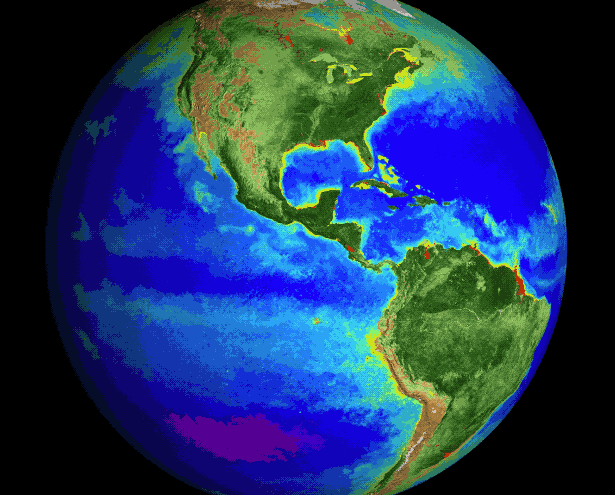 GLOBEGIF.gif