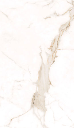 Alcora_gold_600X1200_V2_edited.jpg