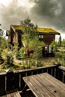 green roofs