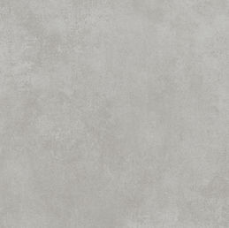 dortmund ligth grey _0000_1.jpg