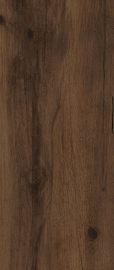 CASTANA-CANYON 200x1200 BROWN (6).jpg