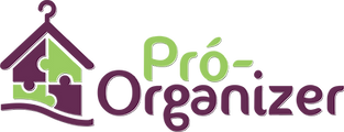 LOGO PRO ORGANIZER ORIGINAL.png