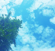 空.jpg