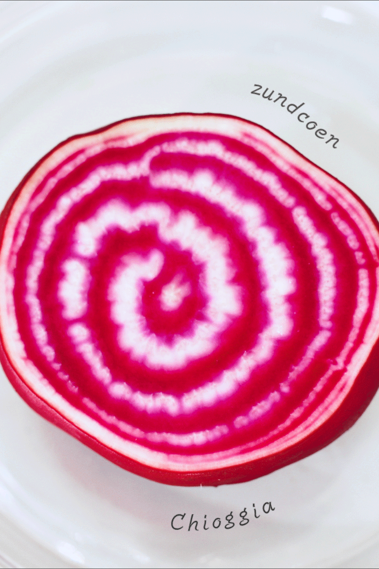 lollipop01.gif