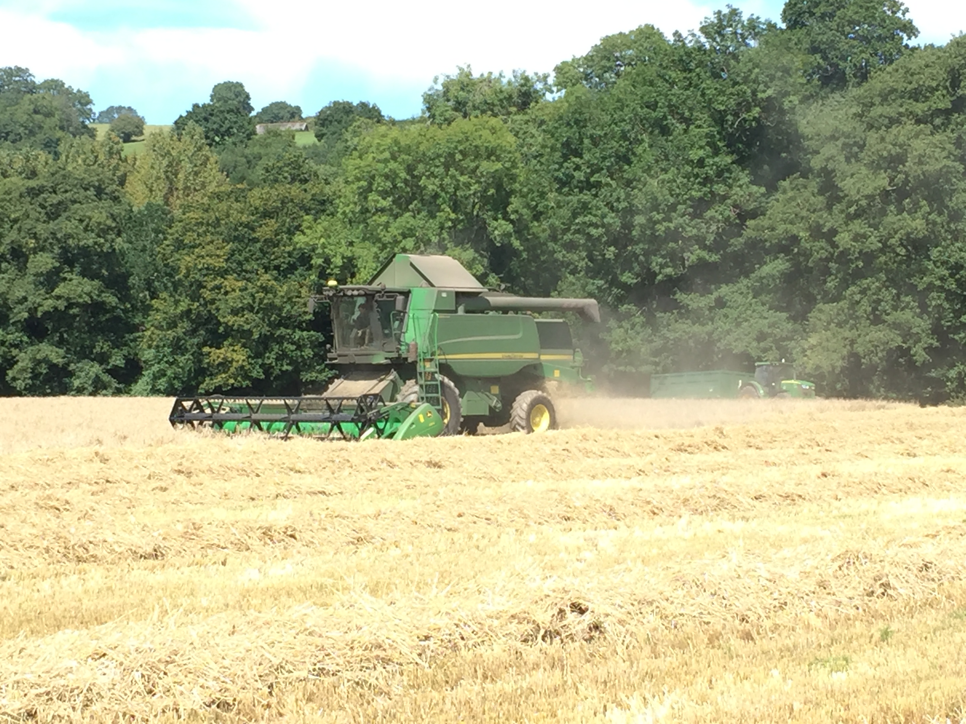Farrington Farms Property Storage Firewood