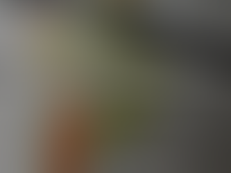 Brasil 2026: Cómo Funciona la Tributación en Brasil