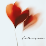 Untitled-1.png