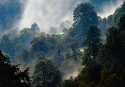 UdayanBorthakur_UB16963