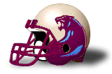 USFL-Panthers-1984.gif