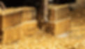 Brass Milling.jpg