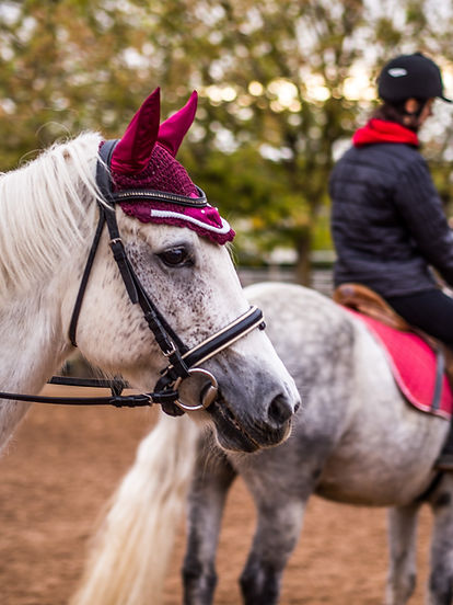 ACEF3A4C-E7DD-4010-9817-4FE827FD5710.JPE