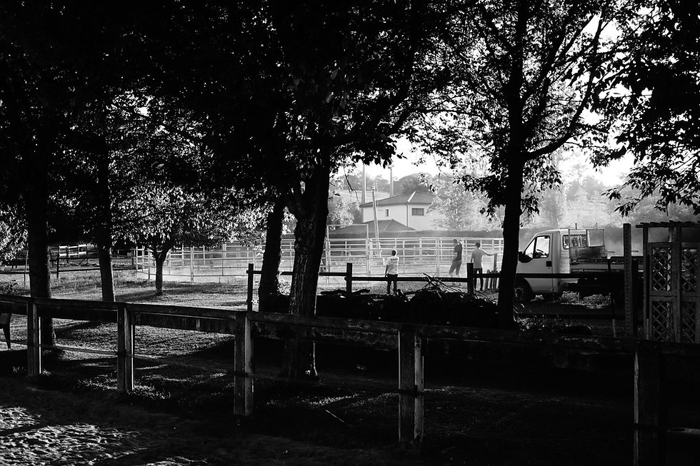 DSC03218.jpeg