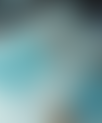 Tin tức mới nhất về ngành kinh doanh online