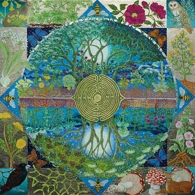 A la Rencontre de votre Animal Totem et de l'Energie Tachyonique