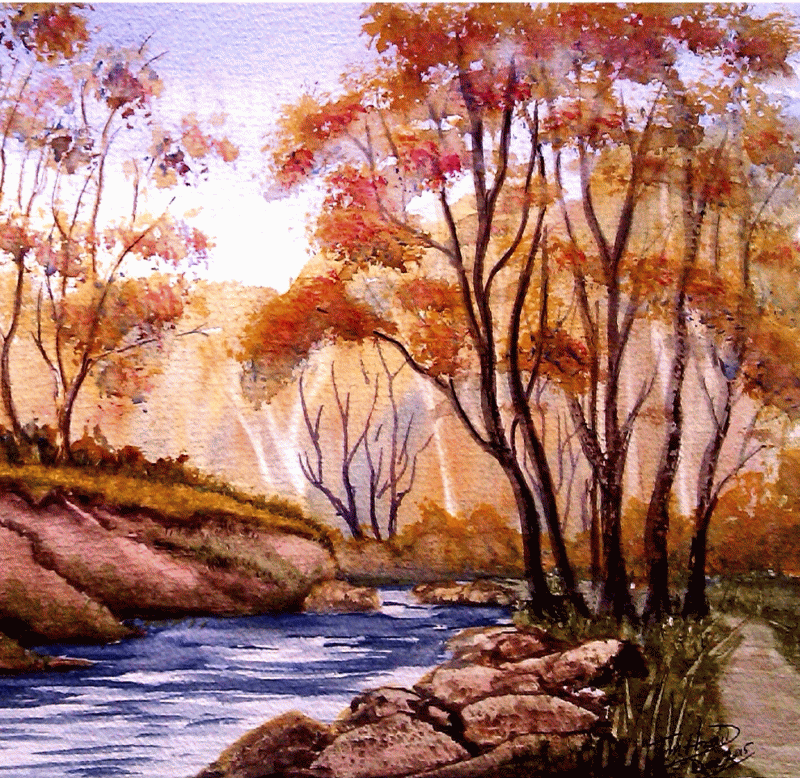 woodland view2