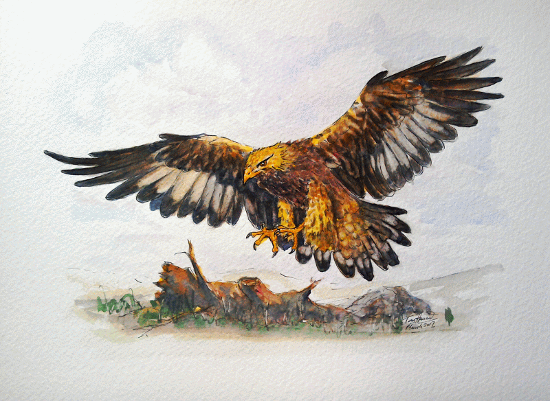 TH GOLDEN EAGLE2