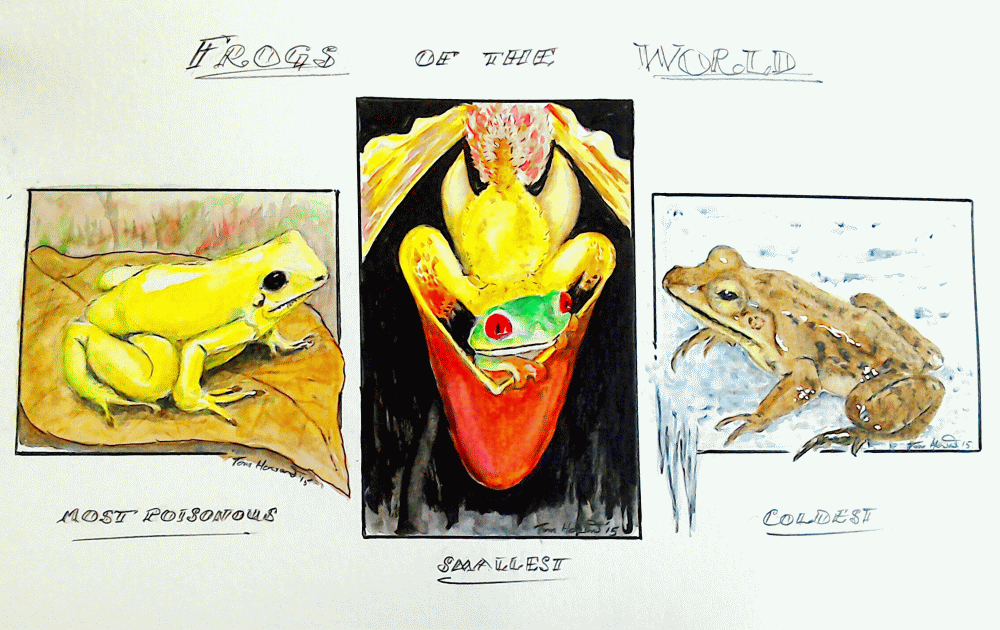 Frogs