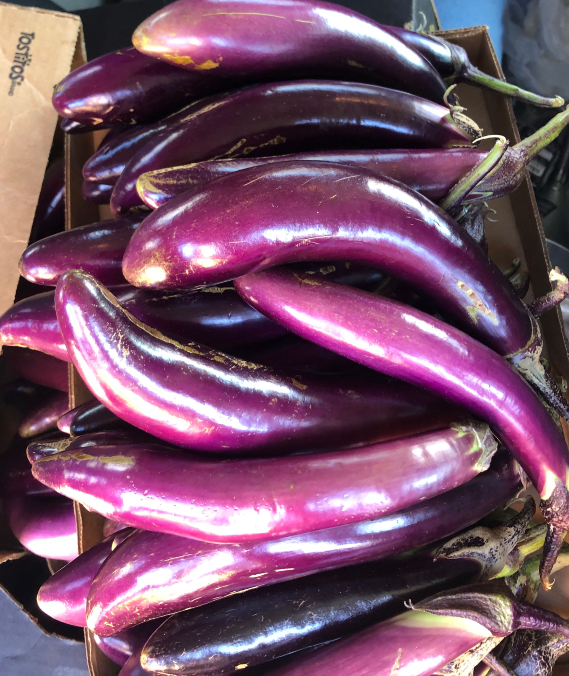 Long Eggplant, Hawaiian Mix
