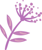 Stylized Floral Design_edited.png