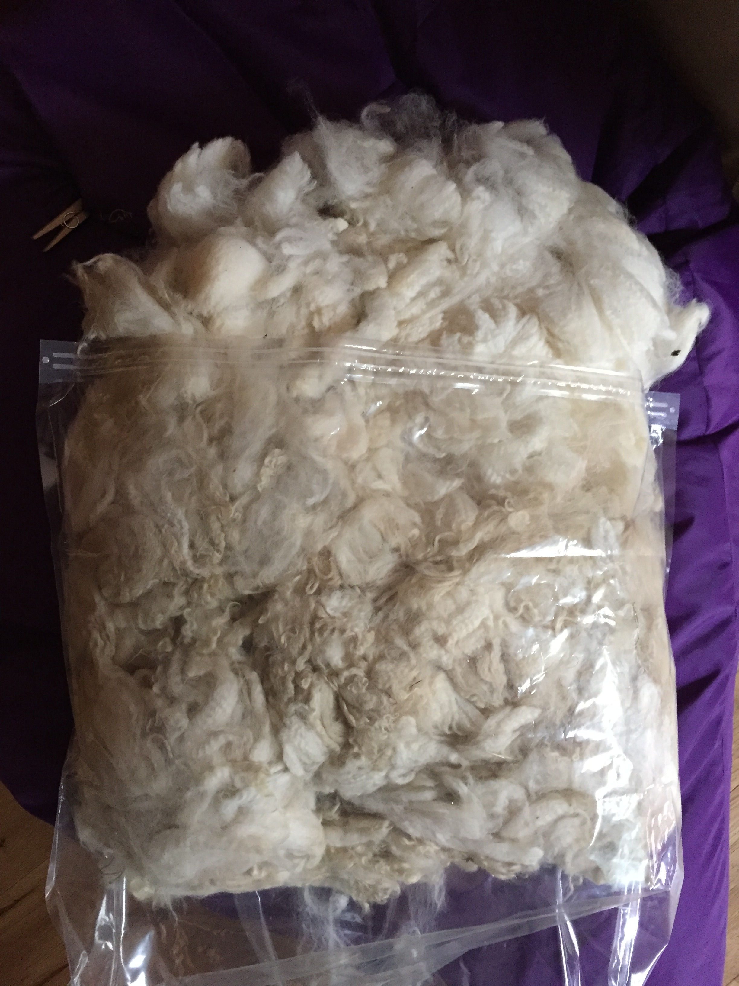 Cira 1st Sheer £10 per 100g