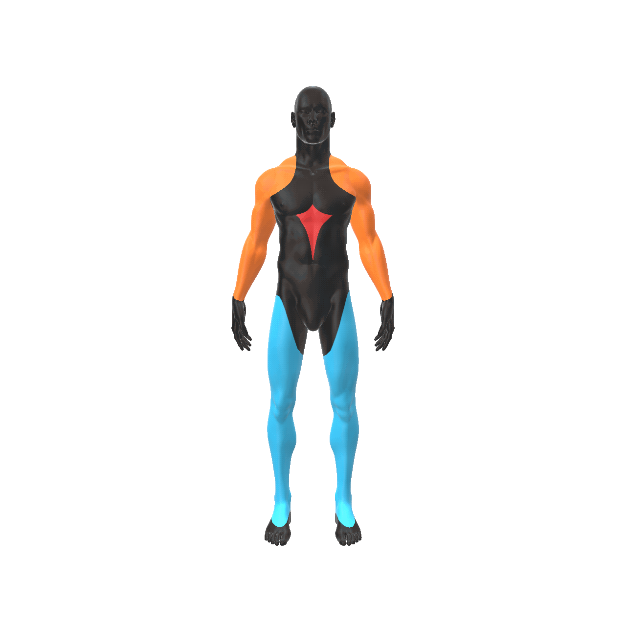 body h 2.gif