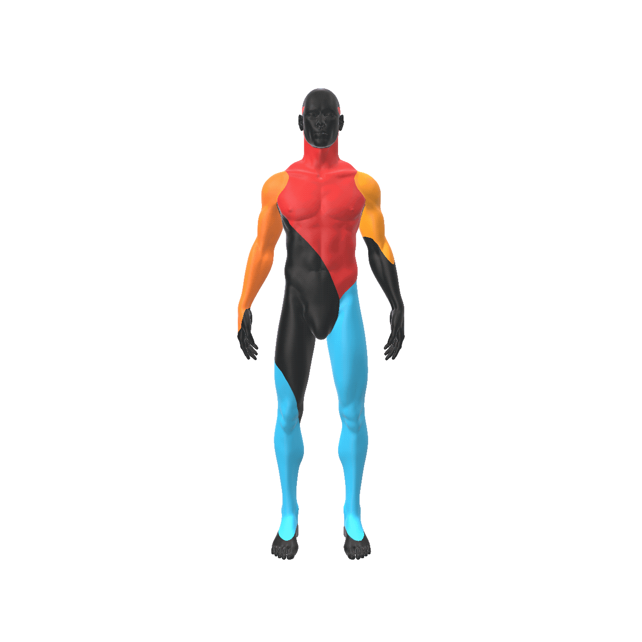 body h 3.gif