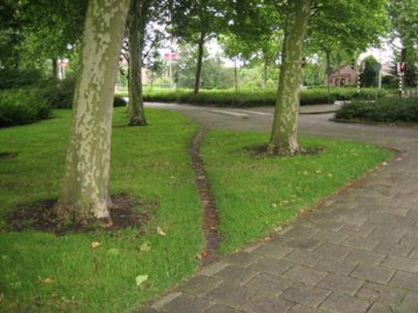 DesiredPath Intelligent Framework™ Customer Journey