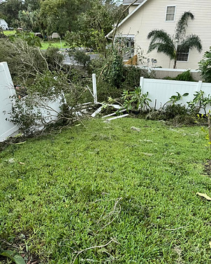 Damaged fence from tree falling (Hurricane Milton)
