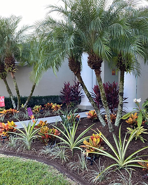 Tropical Florida landscaping