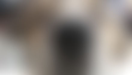 Istanbul: Byens gadehunde & katte