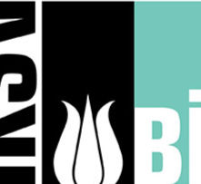 Kunst: 18. Istanbul Biennale åbner 20. september – Den trebenede kat