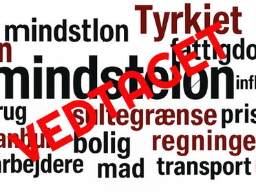 Tyrkiet har vedtaget minimumslønnen for 2026